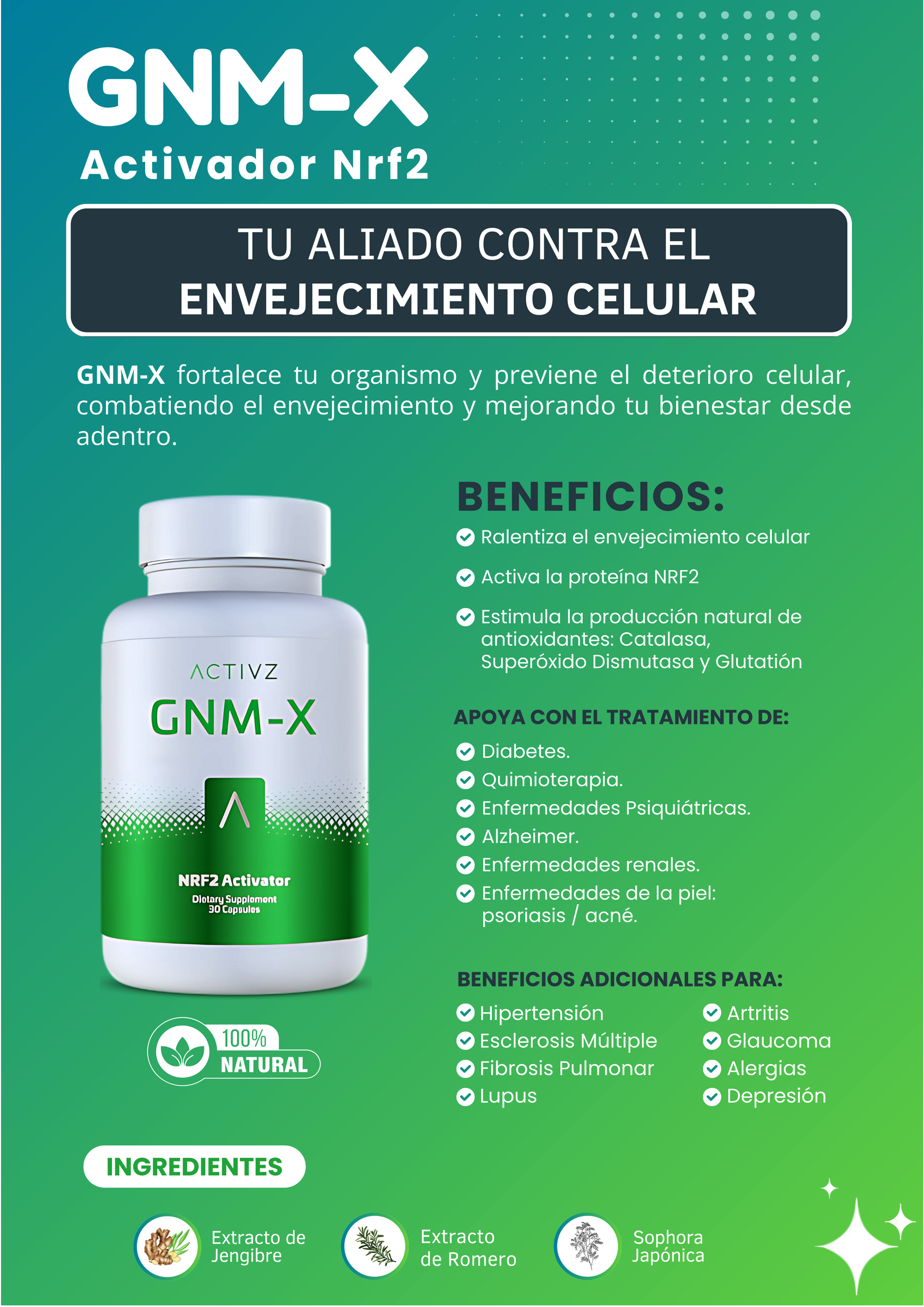 gnmx2