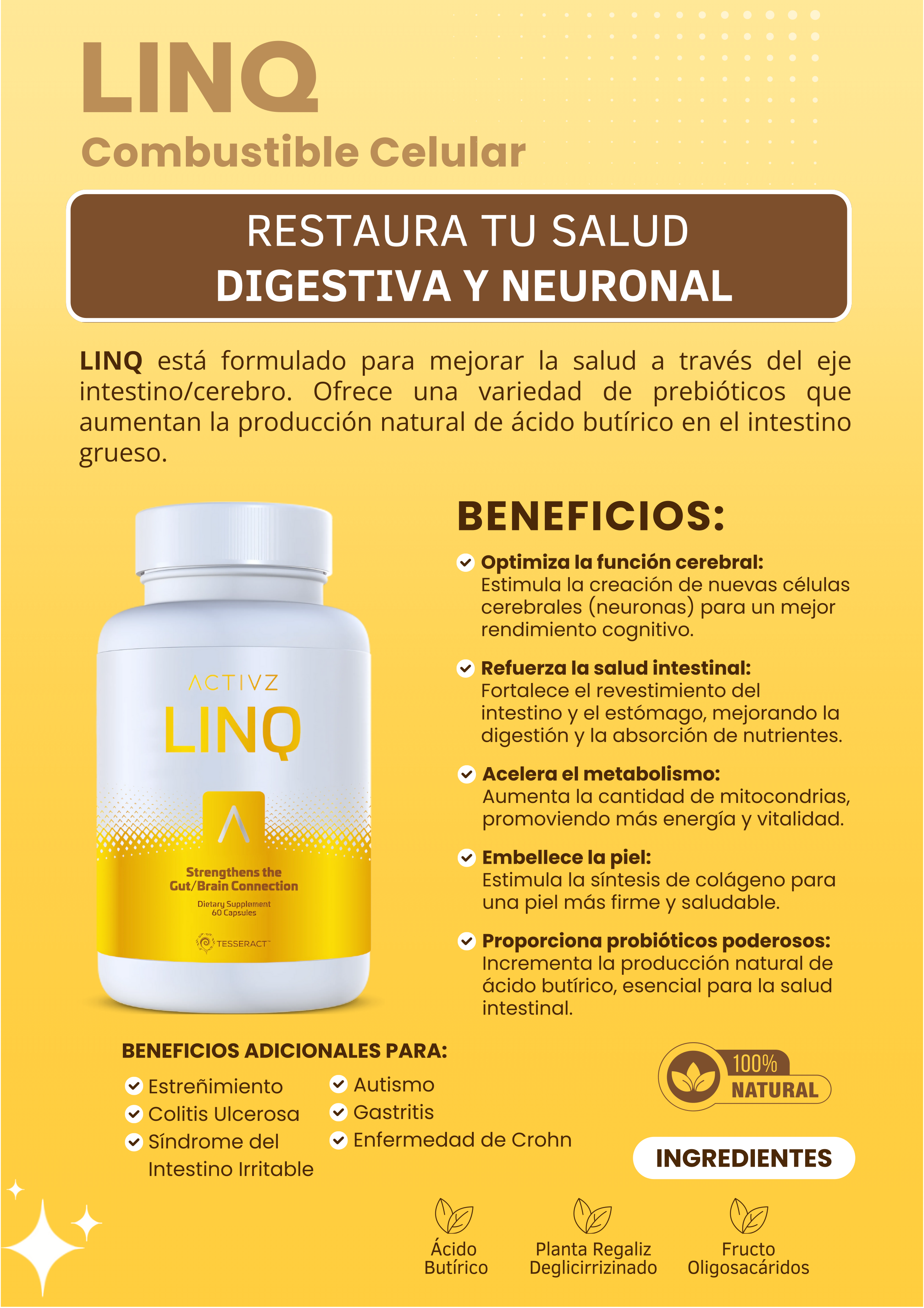 Linq-_Folleto_